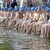3,200 Students to Race in Hamburg this Weekend