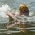 Essential Triathlon Training Tips: Sighting