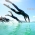 Essential triathlon training tips: Intro to swimming