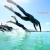 Essential triathlon training tips: Intro to swimming