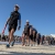 Technical Officials growing worldwide