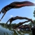 New qualification format debuts at Tiszaujvaros World Cup