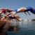 ITU World Cup season shifts to Tongyeong, Korea