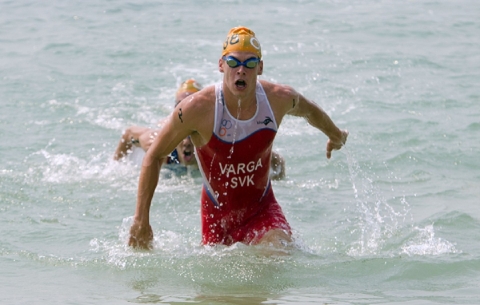 2012 highlights: The most sensational swims of the year