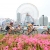 The social story from Yokohama