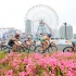 The social story from Yokohama