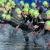 The 2014 #WTSEdmonton Age Group Sprint Story