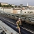 2,800 Age Groupers Compete in World Champs