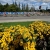 Fully stocked men’s roster for WTS Edmonton
