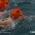 Training Tip: Pacing the Swim