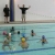 Triathlon Essentials Part 2: The Tips and Tricks of Swimming
