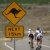 2009 Long Distance World Champs