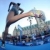 Doping Controls for World Champs