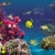 Eilat ETU Premium Cup 2009