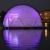 Hamburg unveils championship dome