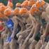 Kenyan Triathlon Series Announced