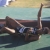 New Video:Past World Championships….
