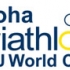 Reminder for Doha WC