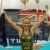 Snowsill claims Commonwealth title