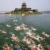 Watch Olympic Interviews