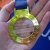Beautiful Banyoles – triathlon in Spain finds a new home.
