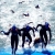 Canary Island Delight for Great Britain and Azerbaijan