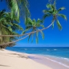 ITU race in Fiji