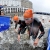 Huge men’s talent coming out for WTS Hamburg