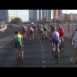 Abu Dhabi Shorts - David Hauss Bike Mechanical