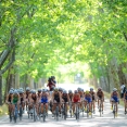 The Tri-Angle: Madrid 2013 Race Preview