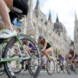 2010 Budapest Elite Women Tricast
