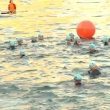 2011 Sydney Age Group