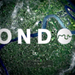 2013 London Promo