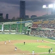 Looking Back 2010: Korea’s Game