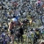 Triathlon Essentials 07: Transitions