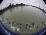 2010 Dextro Energy Triathlon - ITU Triathlon World Championship Grand Final Budapest