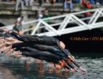 2012 Barfoot&Thompson World Triathlon Grand Final Auckland