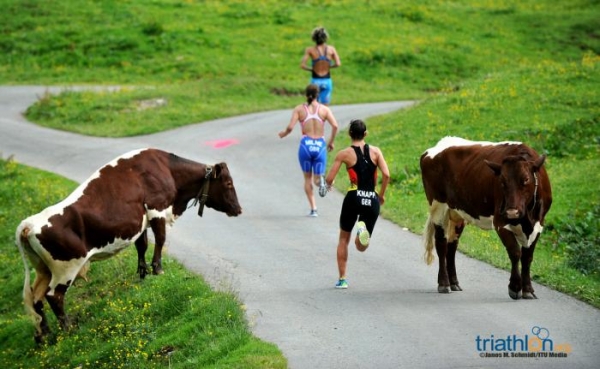 Photo Competition Week Five: Kitzbuehel Photo Competition Week Five: Kitzbuehel