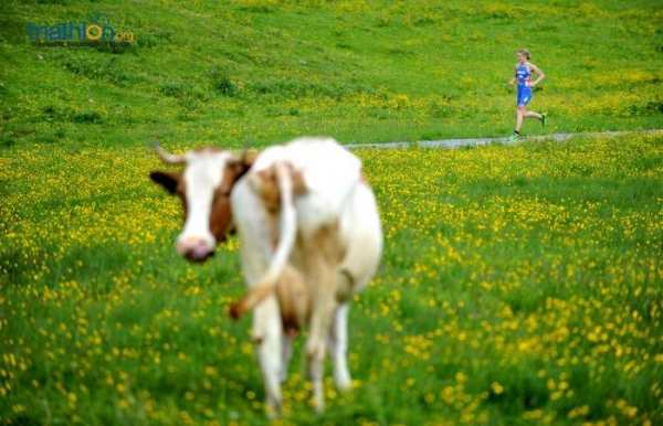 Photo Competition Week Five: Kitzbuehel Photo Competition Week Five: Kitzbuehel