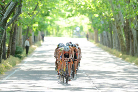 2012 Photo of the Year Week Three Result