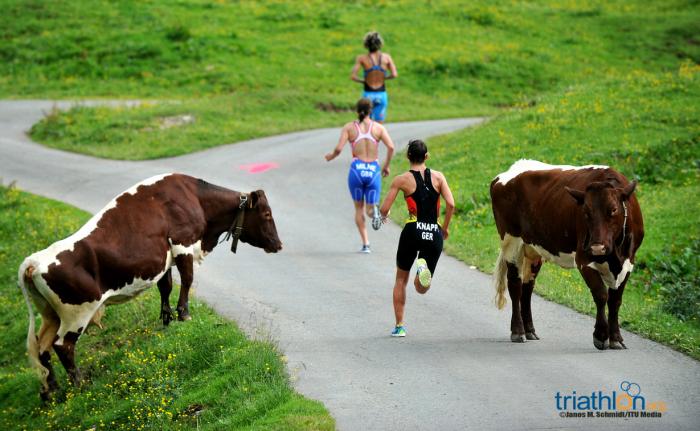 Photo Competition Week Five: Kitzbuehel Photo Competition Week Five: Kitzbuehel
