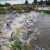 2007 Holten ITU  Triathlon Premium European Cup