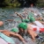 Medals shared across the hemispheres as New Zealand and Portugal top the podium in Tábor