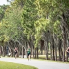 Debut Sarasota World Cup brings circuit back to USA