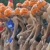 Kenyan Triathlon Series Announced