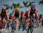 2018 Sarasota-Bradenton ITU Triathlon World Cup