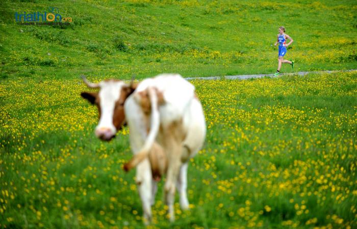 Photo Competition Week Five: Kitzbuehel